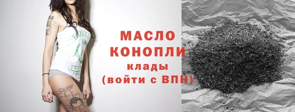 гидра Гусиноозёрск