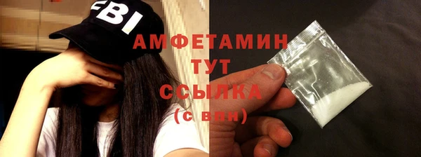 гидра Гусиноозёрск
