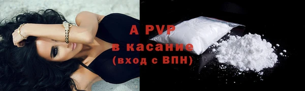гидра Гусиноозёрск