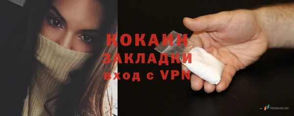 гидра Гусиноозёрск