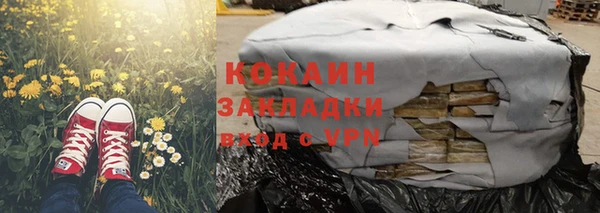 гидра Гусиноозёрск