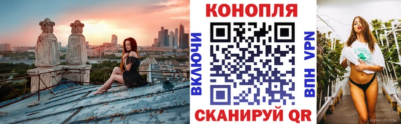 Купить где  Цивильск  Бошки Шишки Bruce Banner 